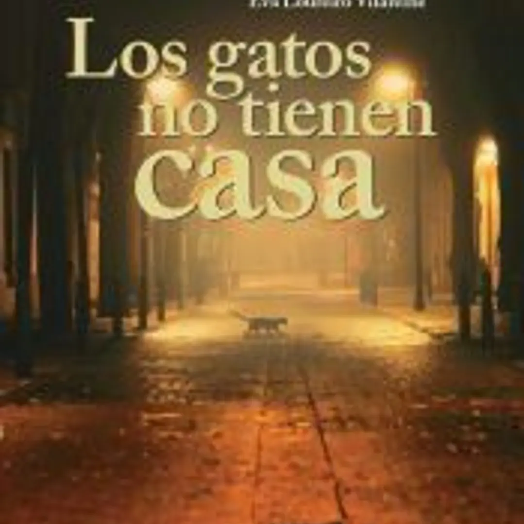 Los gatos no tienen casa 1