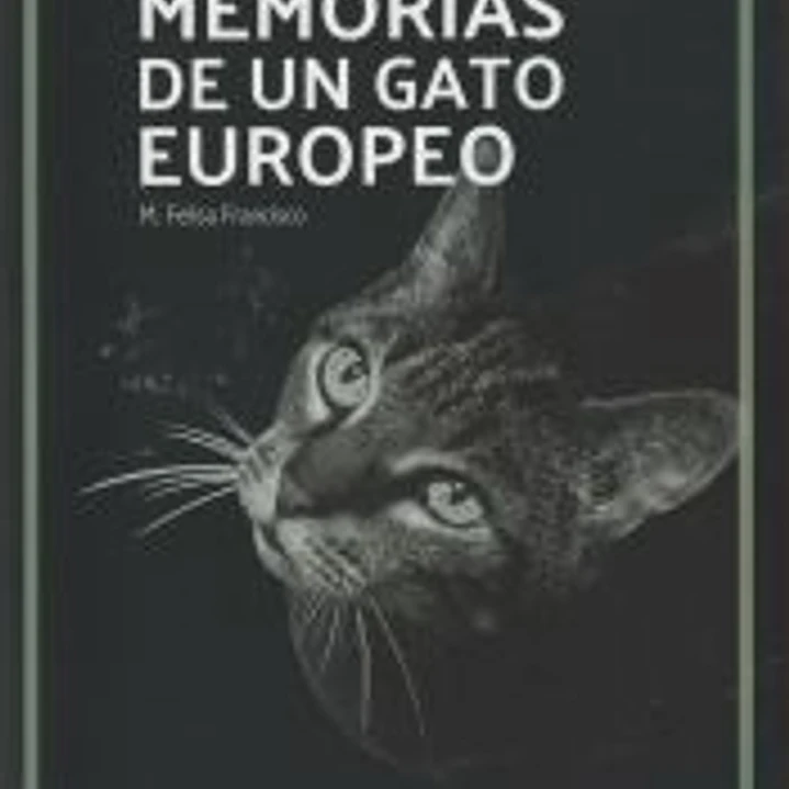 Memorias de un gato europeo 1