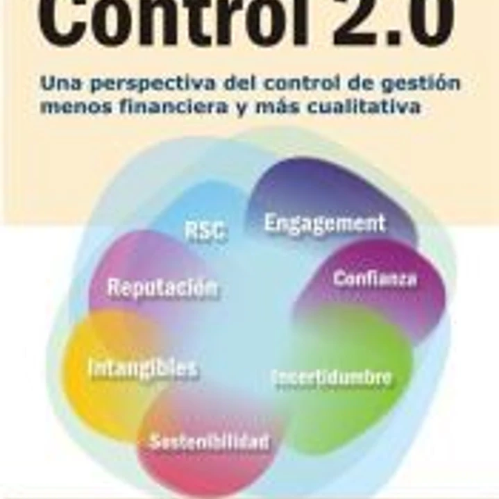 Control 2.0: una perspectiva del control de gestión menos financiera y más cualitativa 1