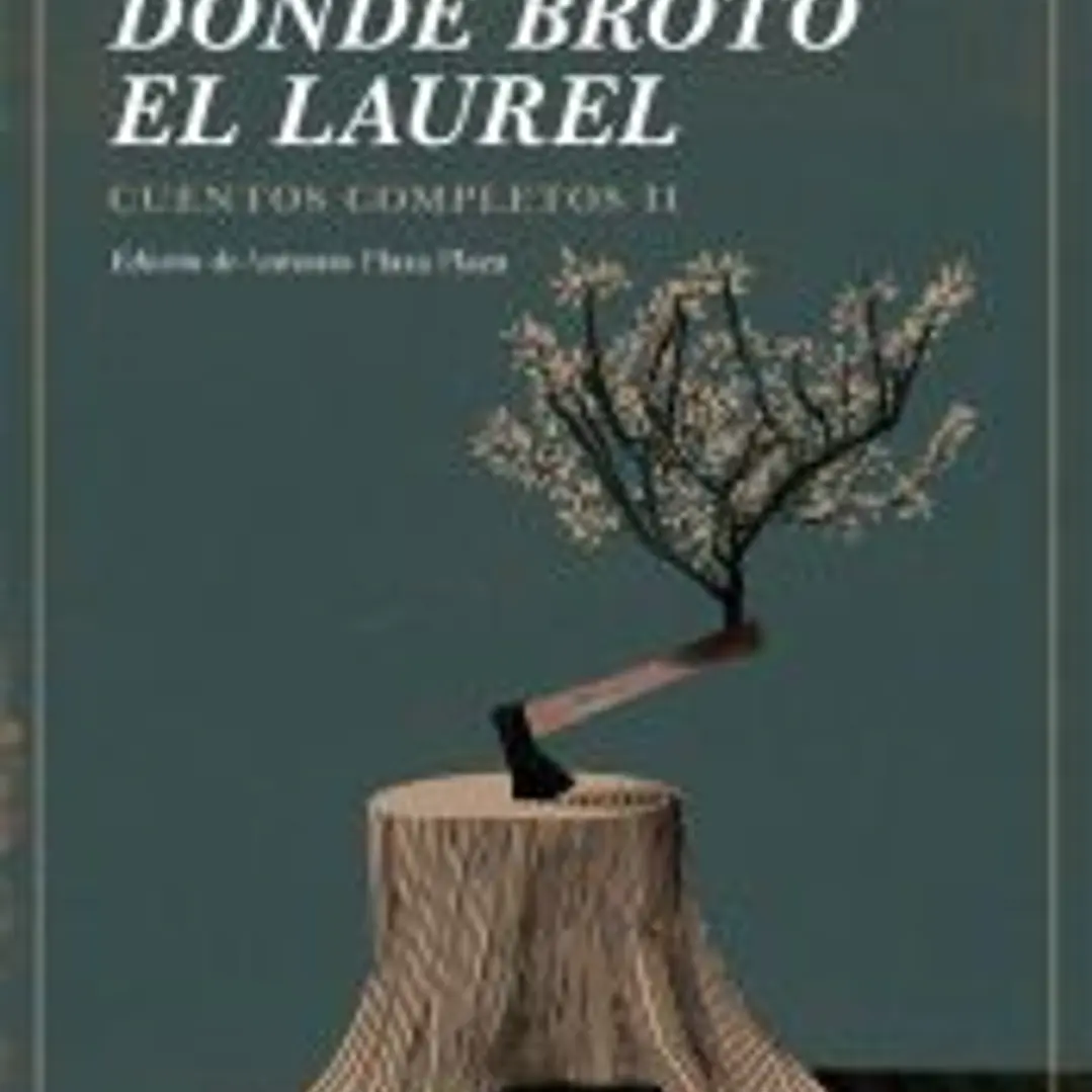 Donde brotó el laurel 1