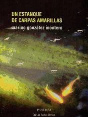 Un estanque de carpas amarillas