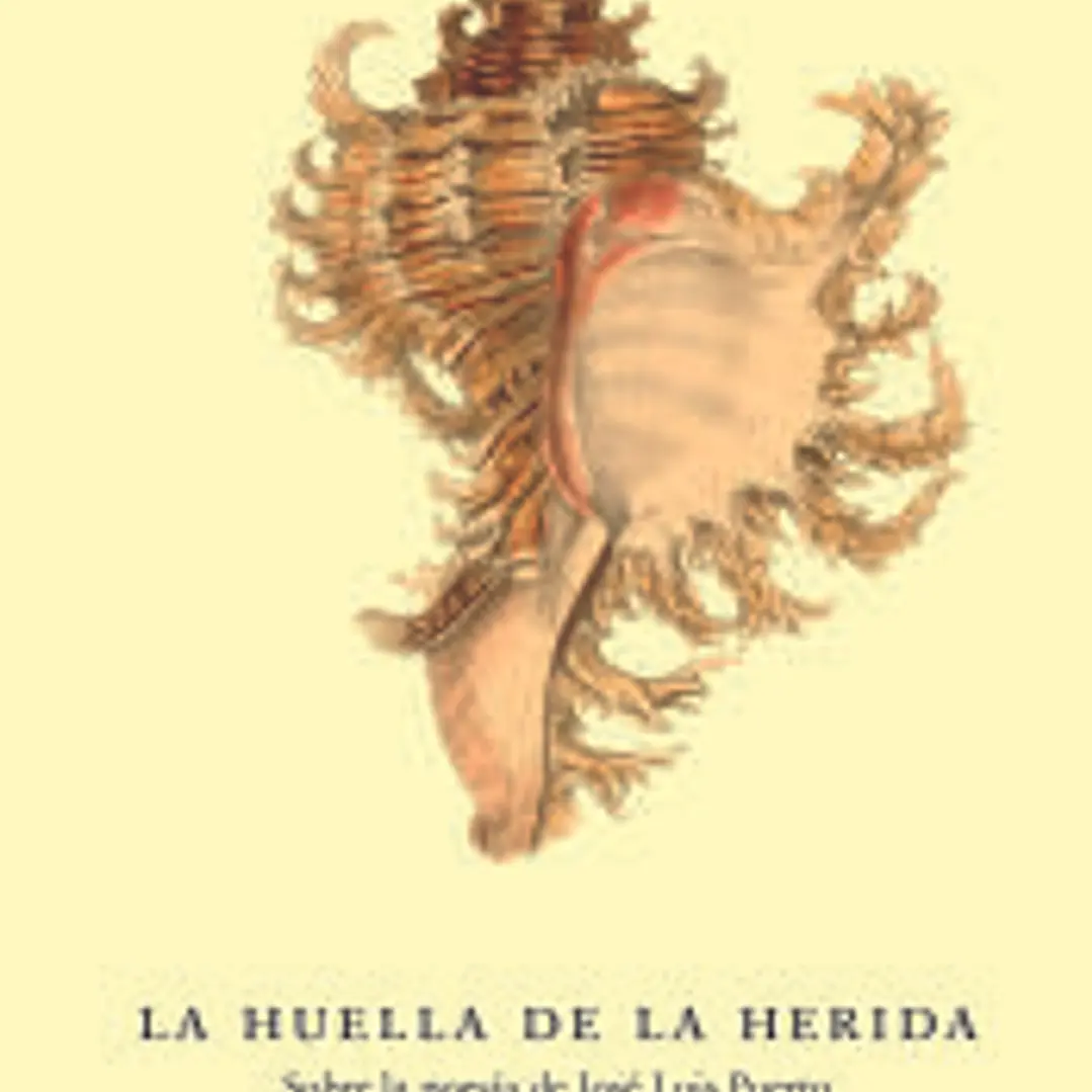 La huella de la herida 1