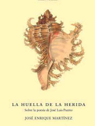 La huella de la herida