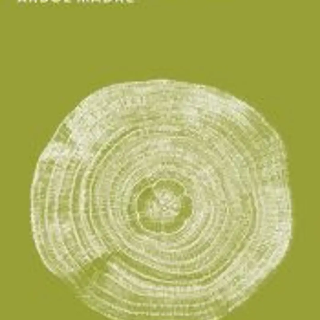 En busca del Árbol Madre 1