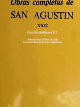 Obras completas de San Agustín. XXIX: Escritos bíblicos (5.º): Anotaciones al libro de Job. Concordancia de los evangelistas