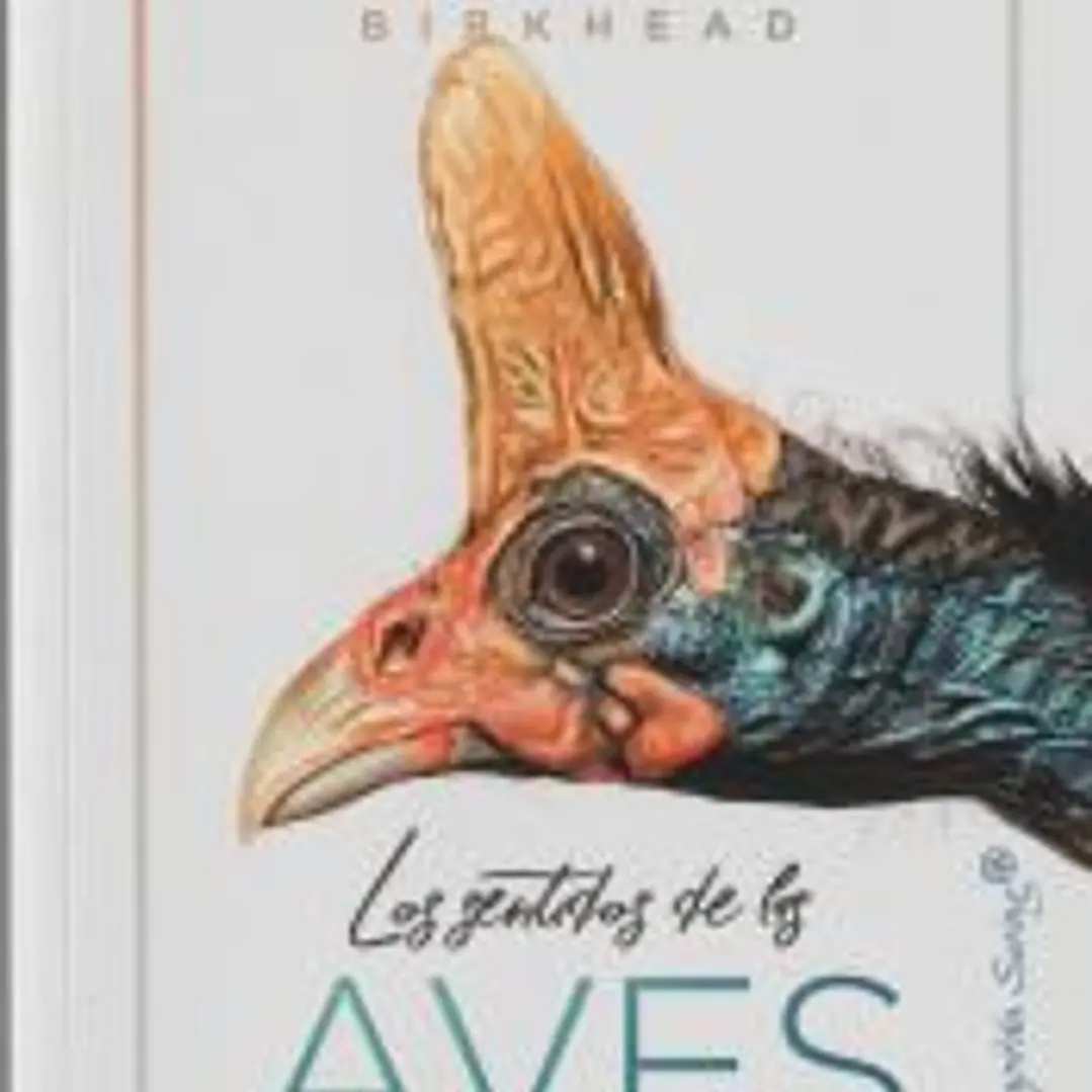 Los sentidos de las aves 1