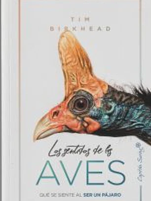 Los sentidos de las aves