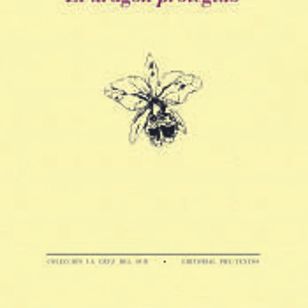 El dragón protegido 1