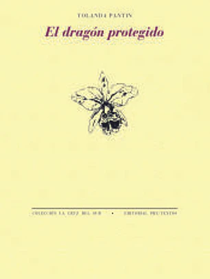 El dragón protegido