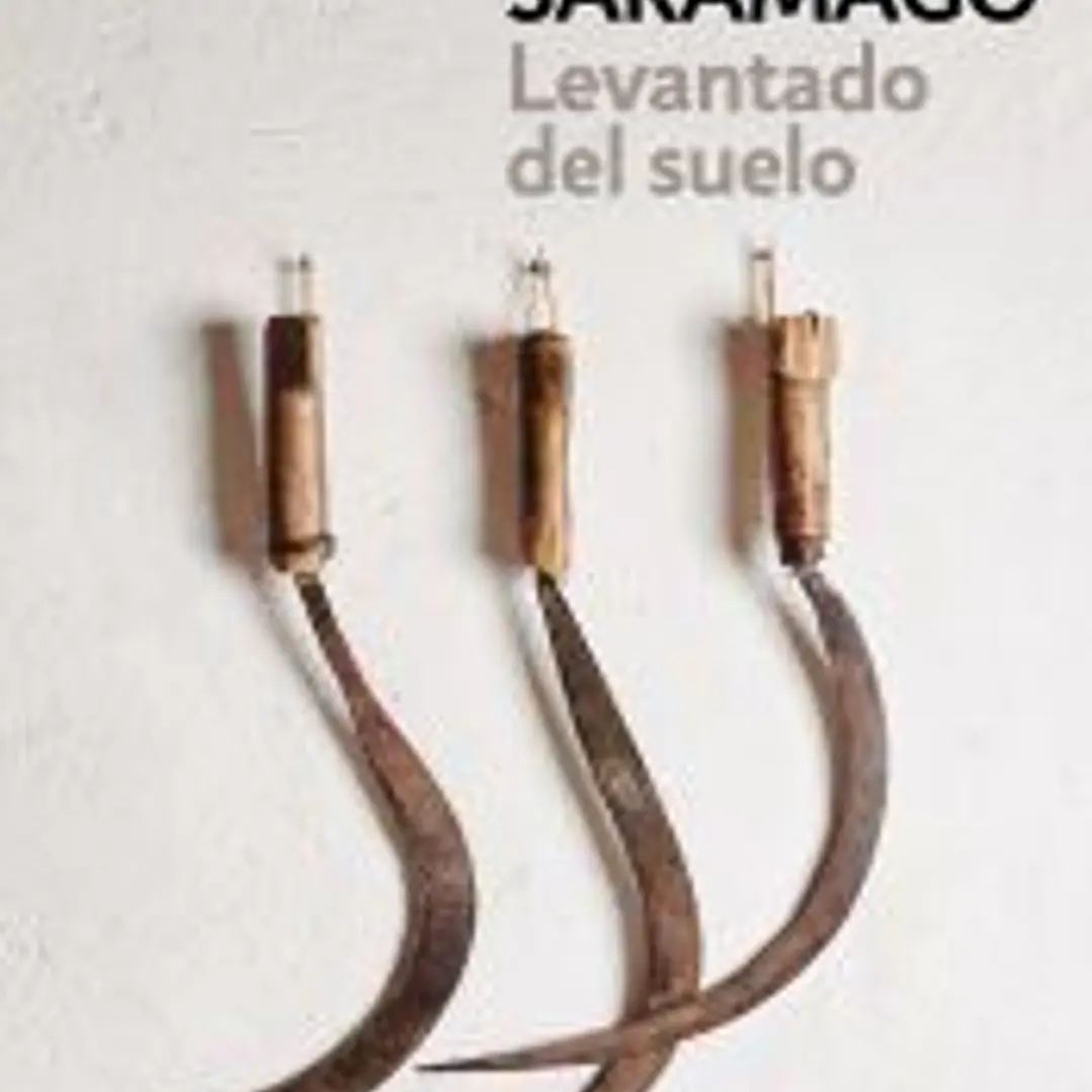 Levantado del suelo 1