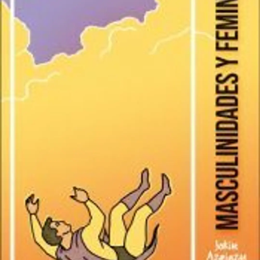 Masculinidades Y Feminismo 1