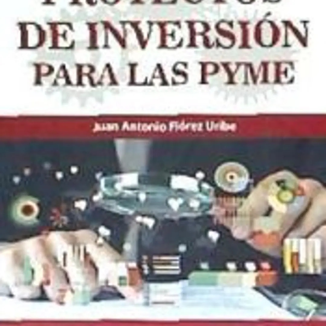 PROYECTOS DE INVERSION PARA LAS PYME 1