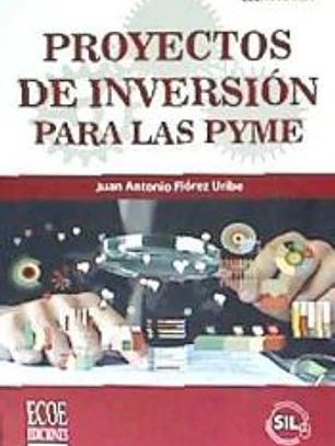 PROYECTOS DE INVERSION PARA LAS PYME