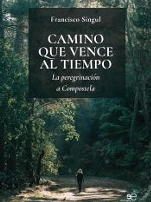 CAMINO QUE VENCE AL TIEMPO.: La peregrinación a Compostela