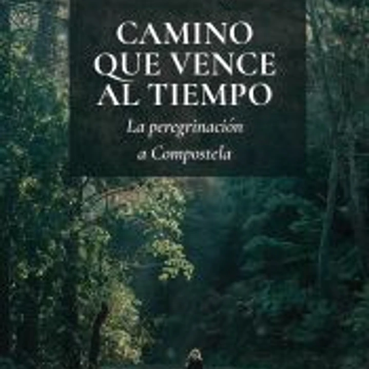 CAMINO QUE VENCE AL TIEMPO.: La peregrinación a Compostela 1