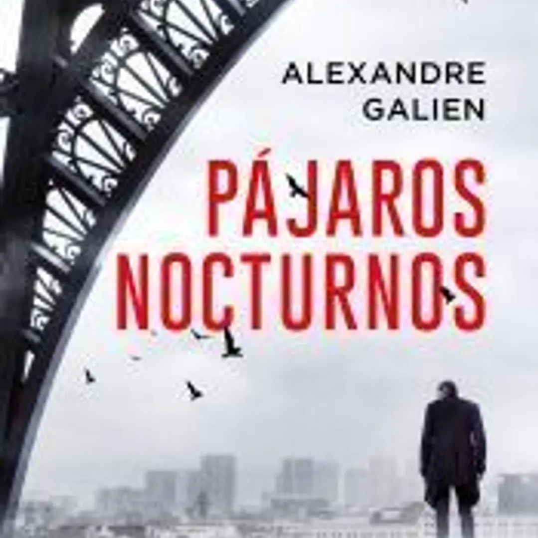 Pájaros nocturnos 1