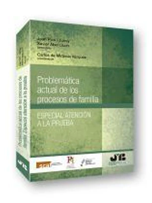 Problemática actual de los procesos de familia.