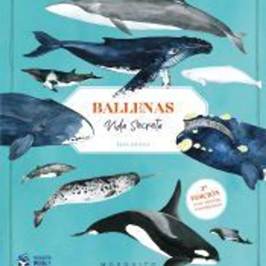Ballenas. Vida secreta (3ª edición con póster coloreable) 1