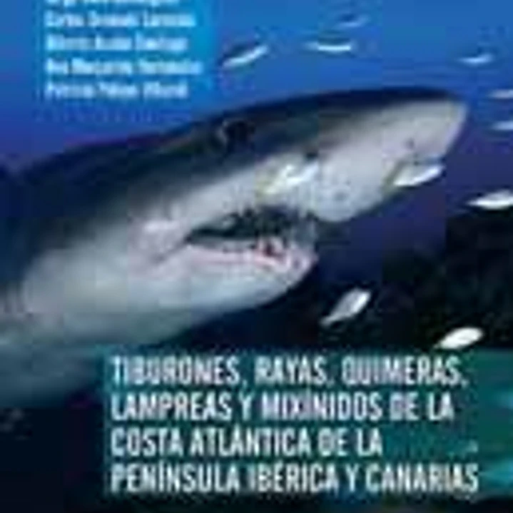 Tiburones, rayas, quimeras, lampreas y mixínidos de la costa atlántica de la Península Ibérica y Canarias 1