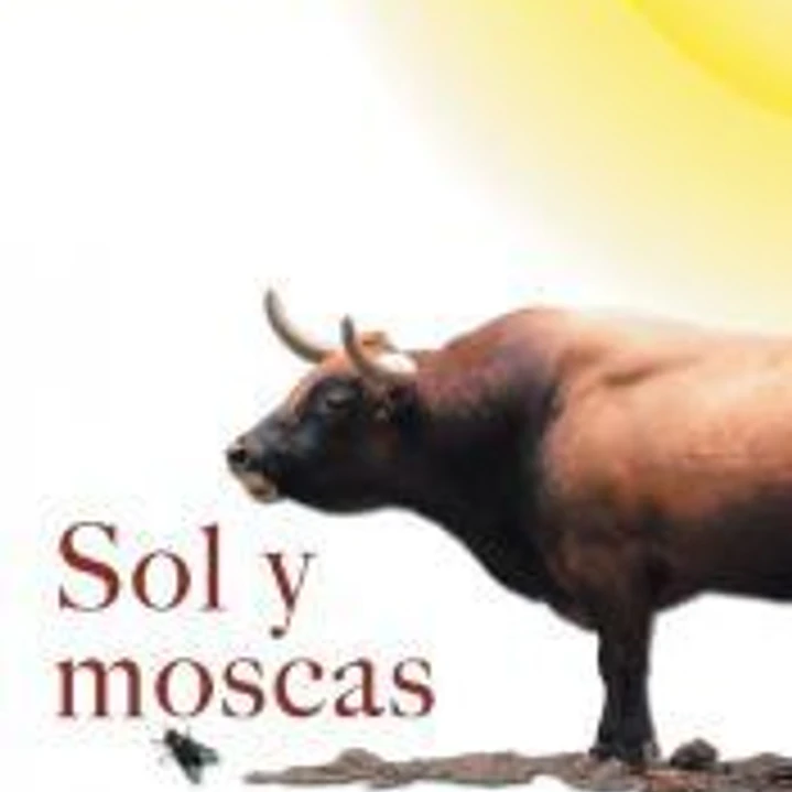 Sol y Moscas 1