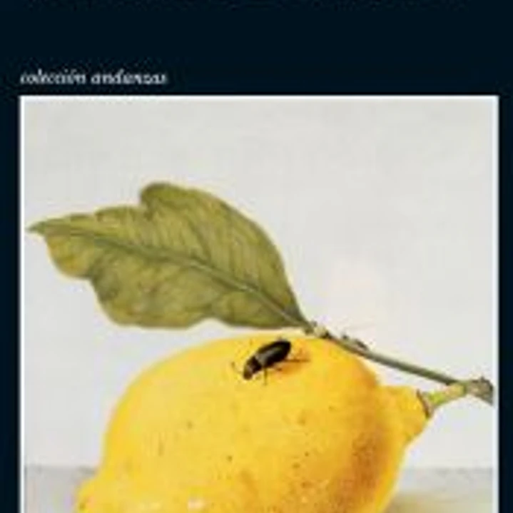Vampiros y limones 1