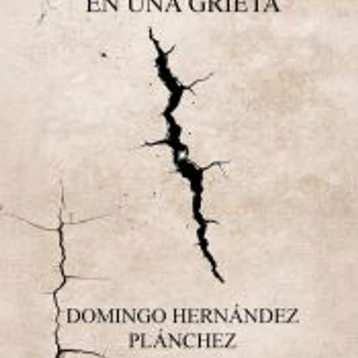 Una partícula en una grieta 1
