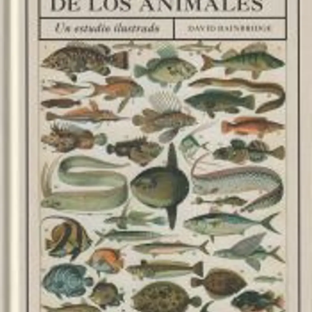 CLASIFICACION DE LOS ANIMALES, LA 1
