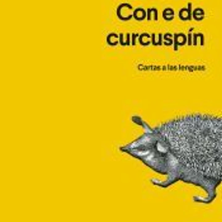 Con E de curcuspín 1