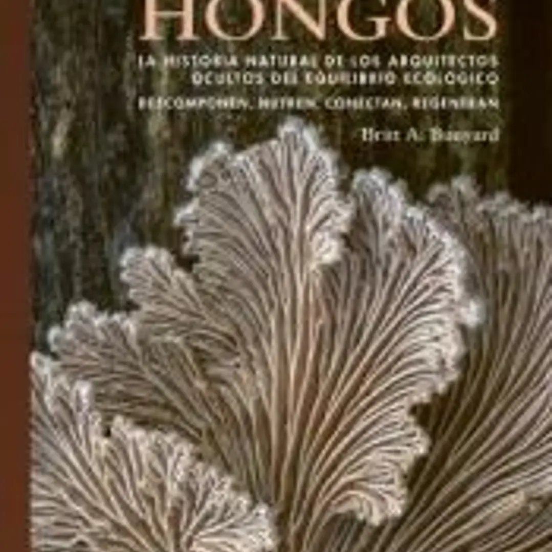 La vida de los hongos 1