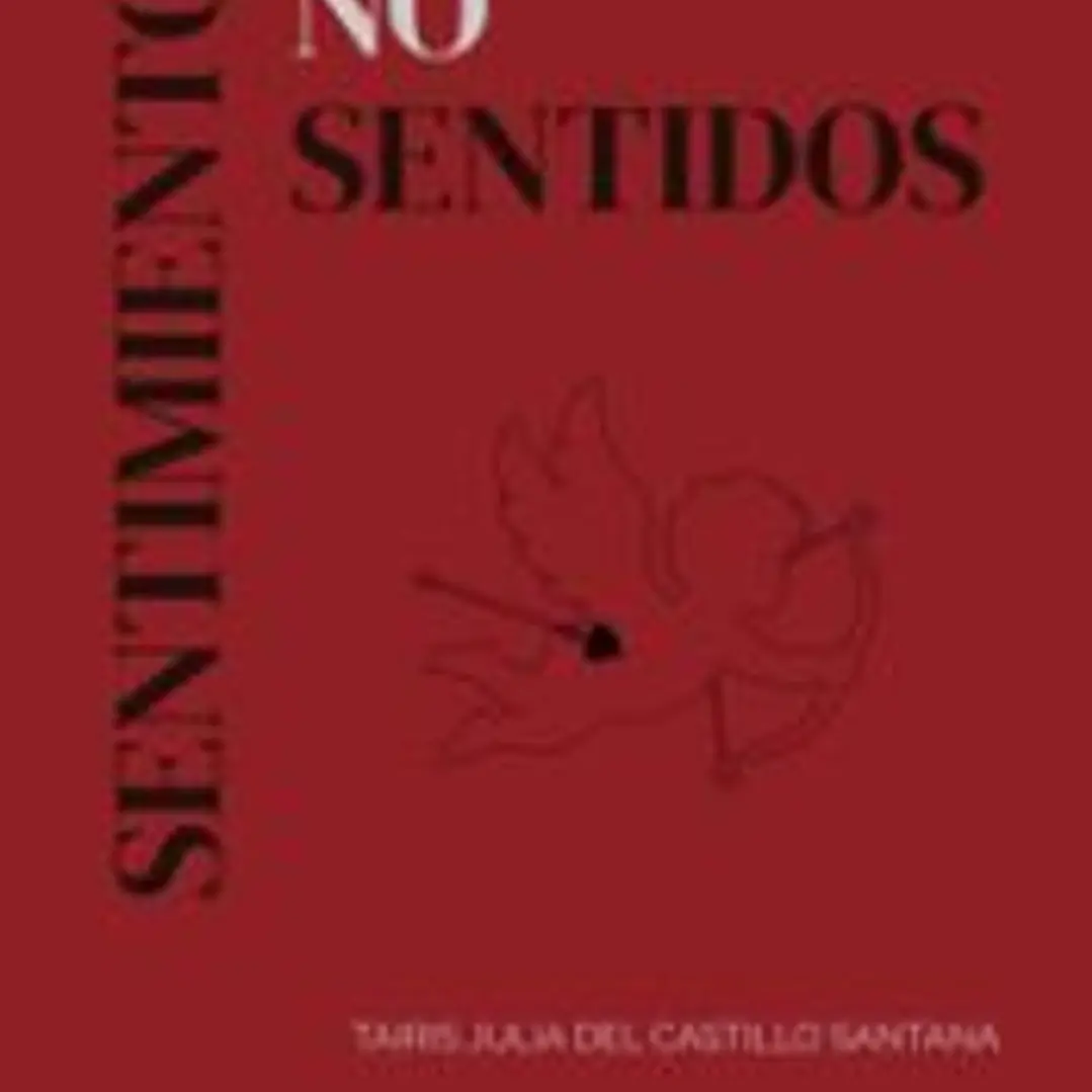 SENTIMIENTOS NO SENTIDOS 1