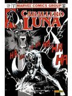 Biblioteca Caballero Luna 3