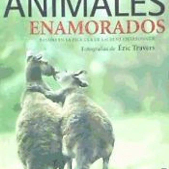 Animales enamorados 1