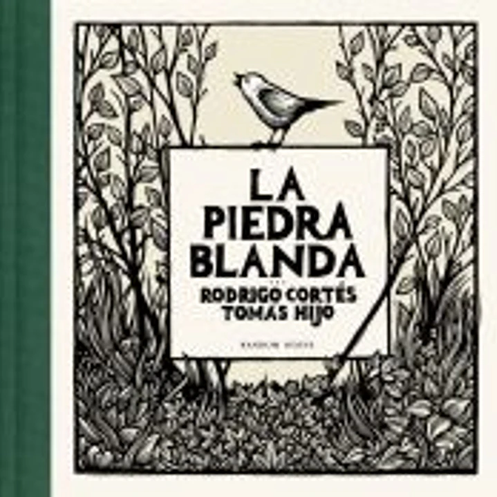La piedra blanda 1