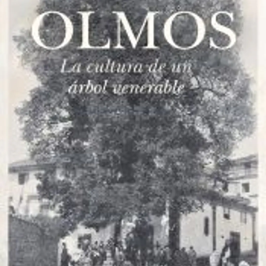 Olmos 1