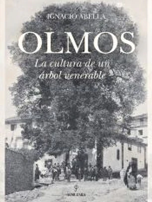 Olmos
