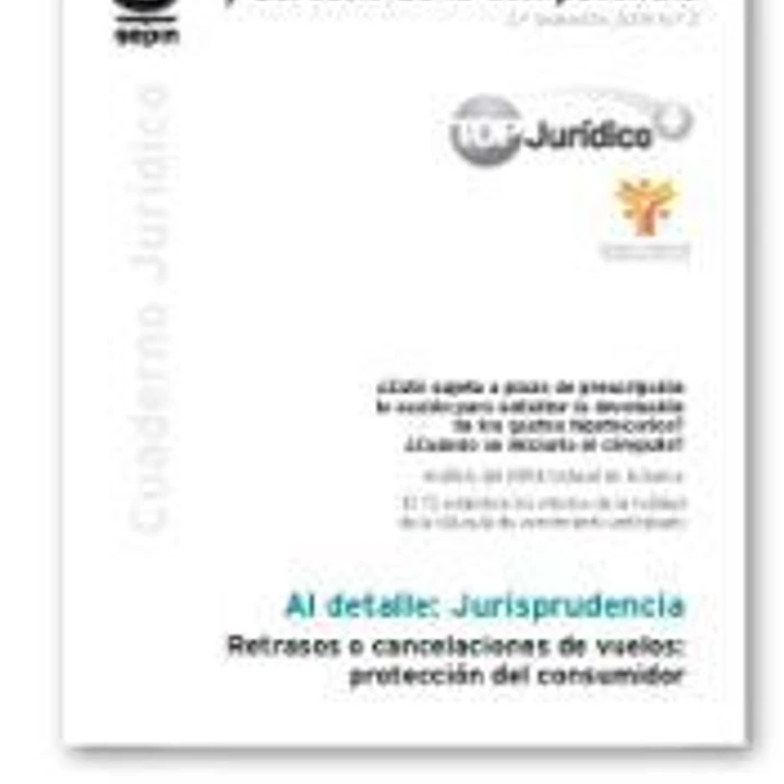 Retrasos o cancelaciones de vuelos: protección del consumidor 1
