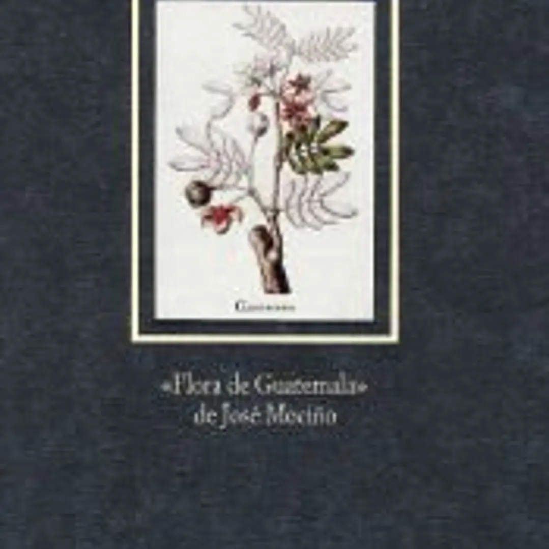 Flora de Guatemala de Jose Mociño. 1