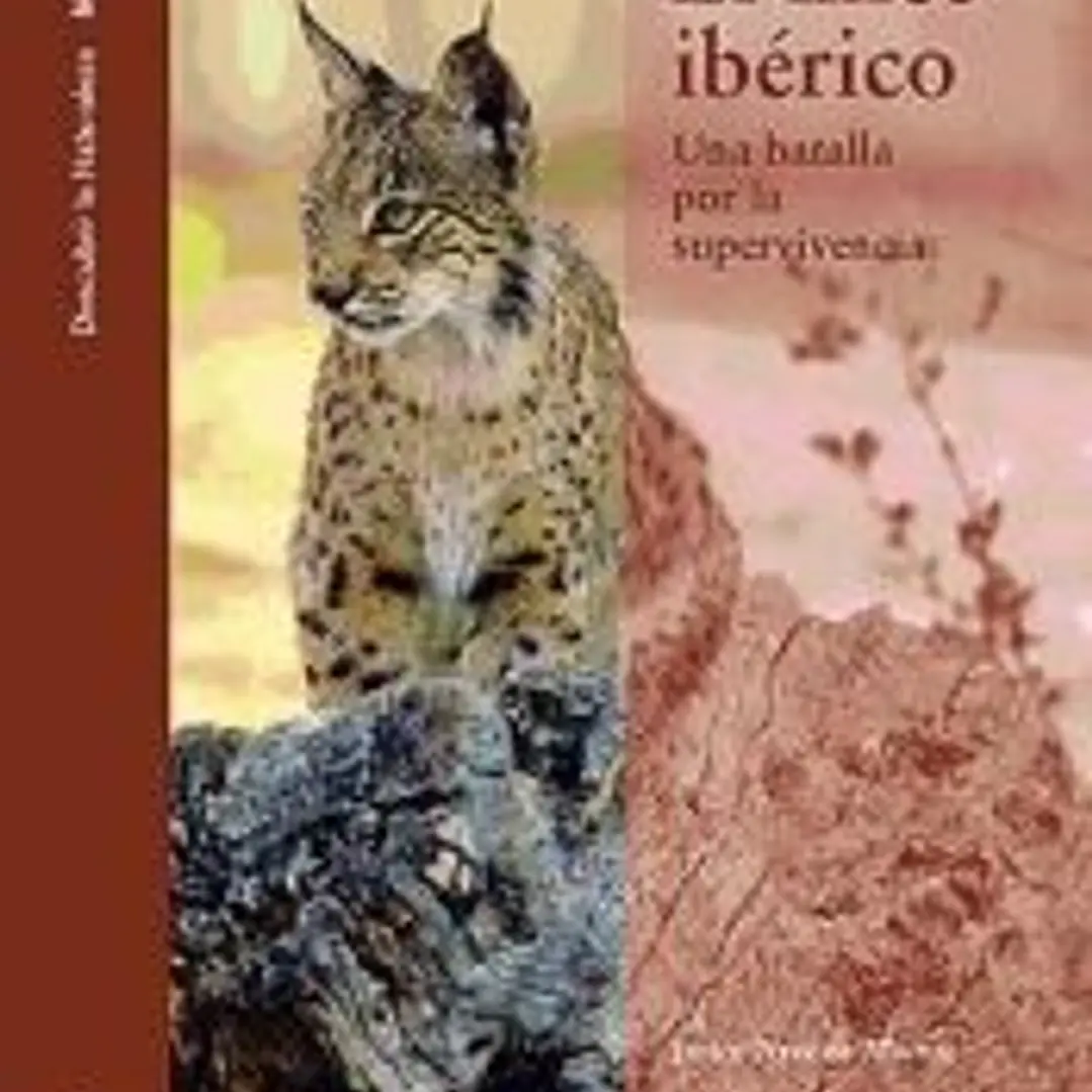 El Lince Ibérico. Una batalla por la supervivencia 1