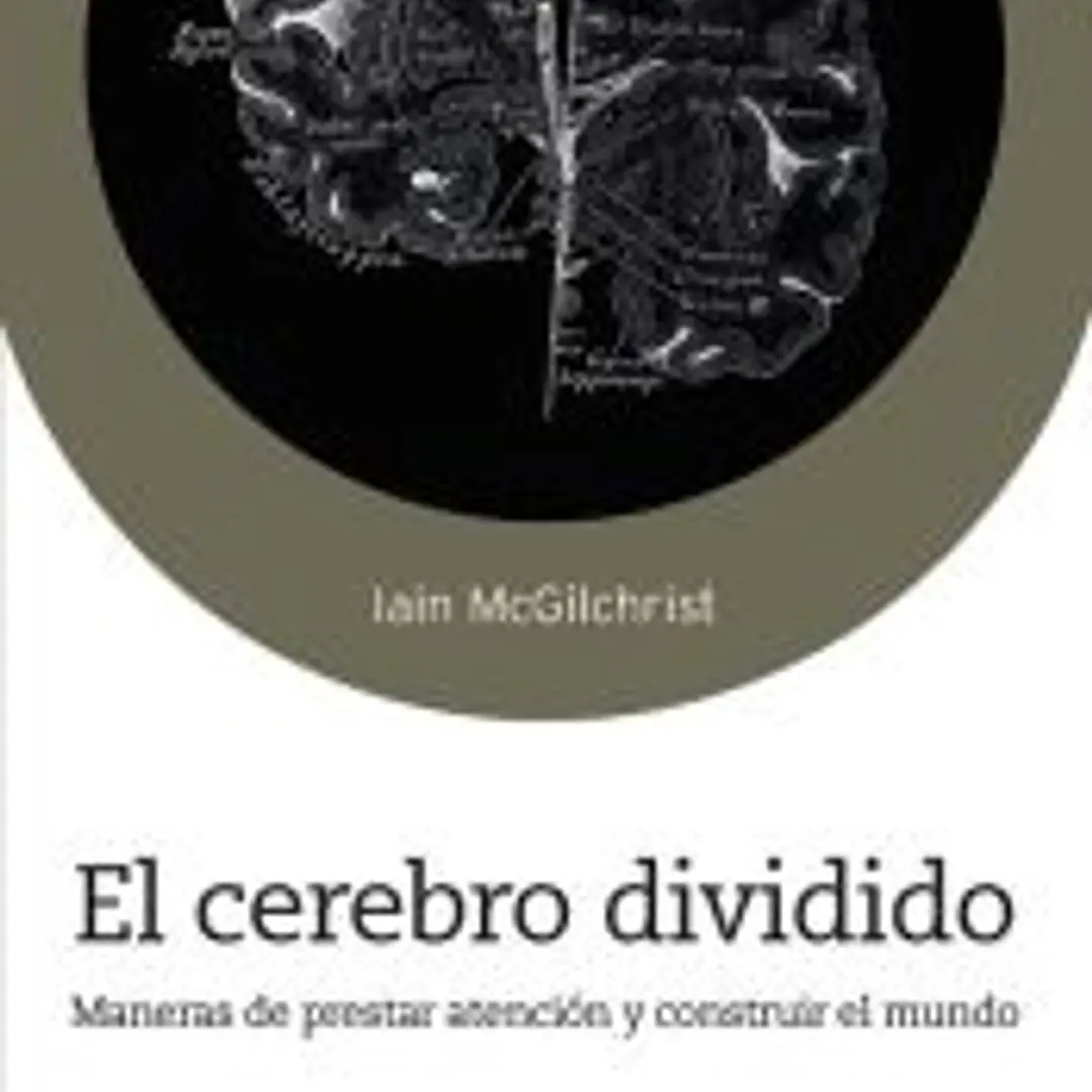 El cerebro dividido 1