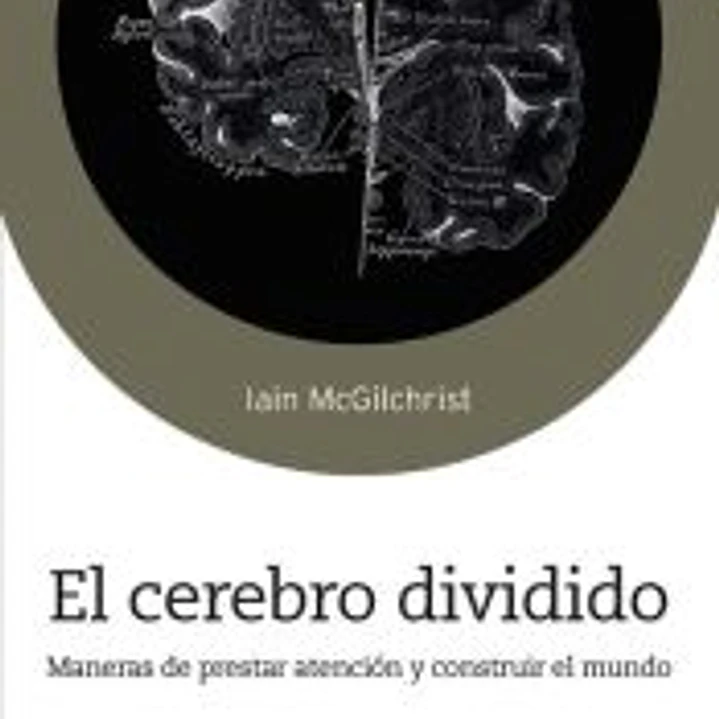 El cerebro dividido 1