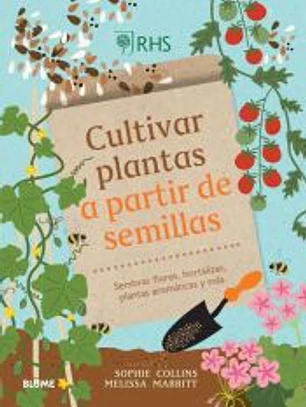 Cultivar plantas a partir de semillas