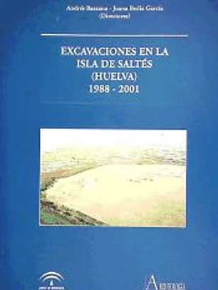 EXCAVACIONES EN LA ISLA DE SALTES (HUELVA) 1988-2001