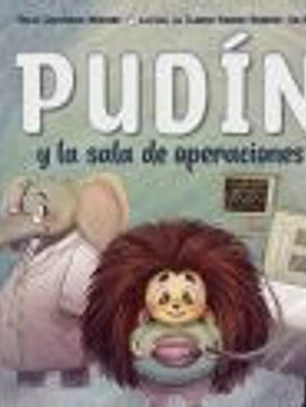 Pudín y la sala de operaciones
