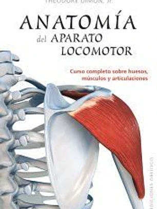 Anatomía del aparato locomotor