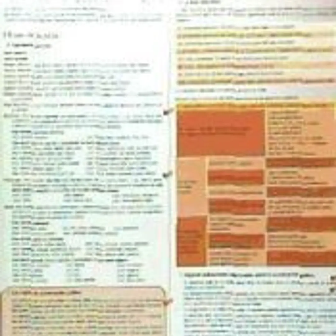 Ortografía del español actual 1