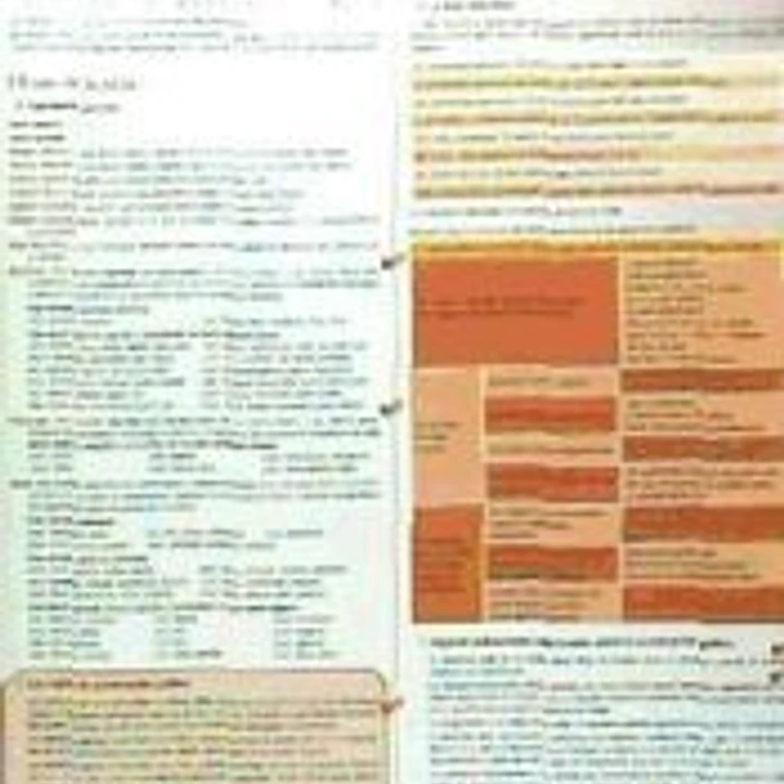 Ortografía del español actual 1