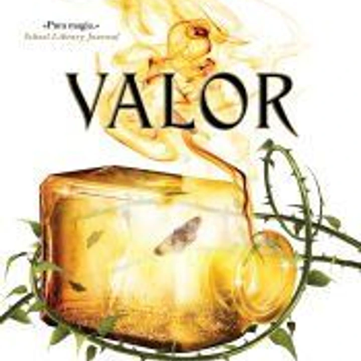 Valor 1