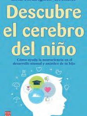 Descubre el cerebro del niño