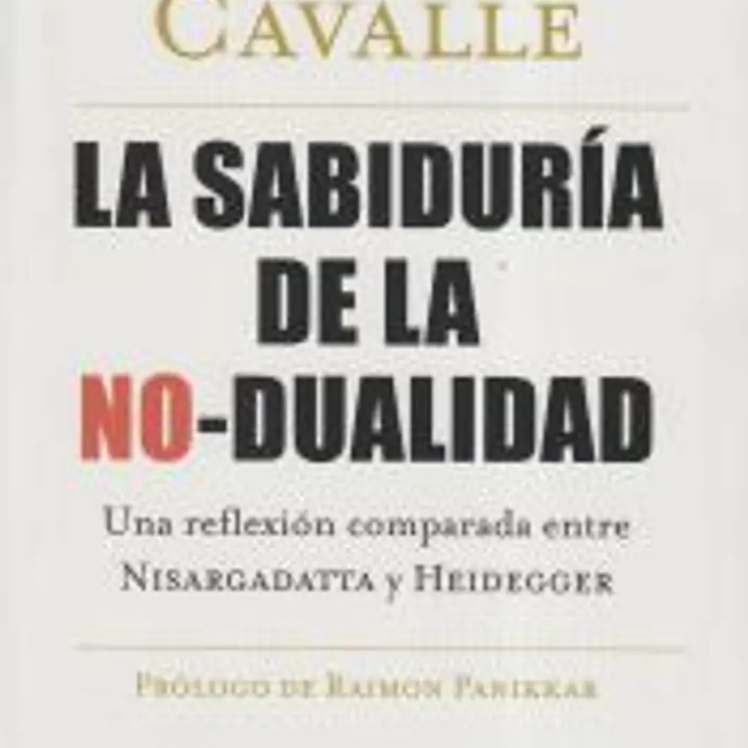 La sabiduría de la no-dualidad 1