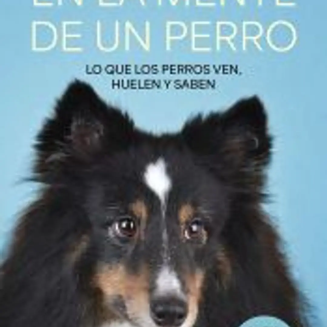 En la mente de un perro 1